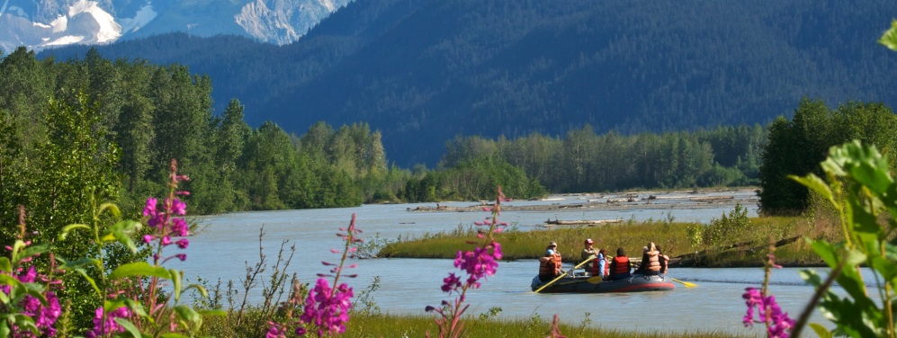 Explore the Chilkat Bald Eagle Preserve by Raft
